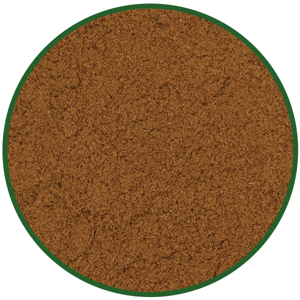 Kreuzkümmel (Cumin) gemahlen