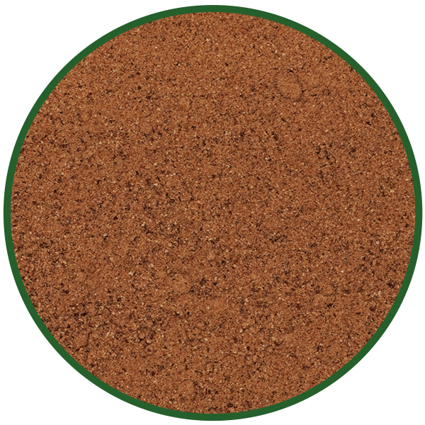 Muskatnüsse gemahlen