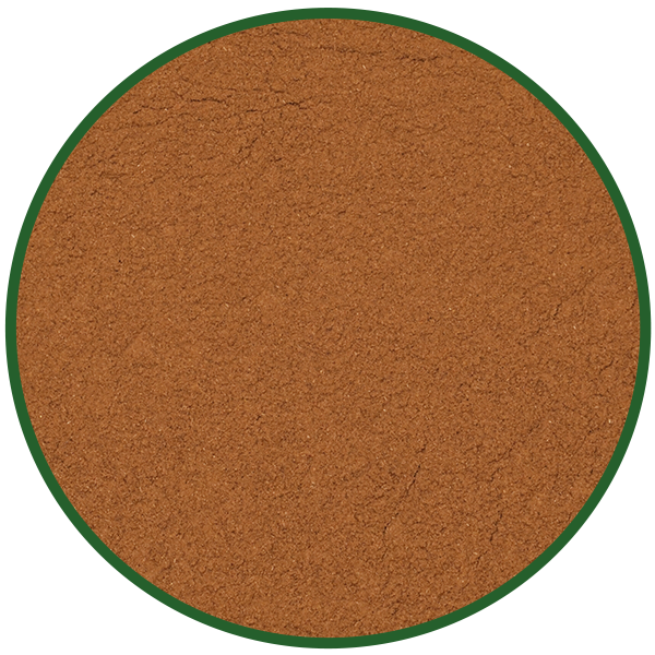 Zimt gemahlen (Ceylon Canehl)