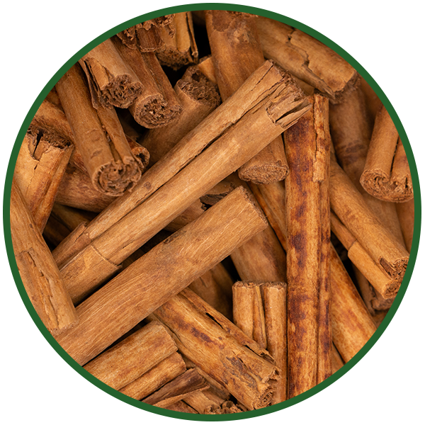 Zimtstangen (Ceylon Canehl)