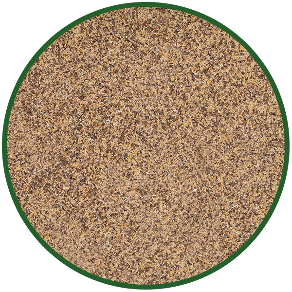 Knoblauchpfeffer schwarz