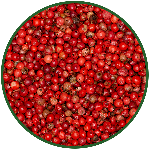Rosa Beeren ganz (Schinus Terebinthifolius)
