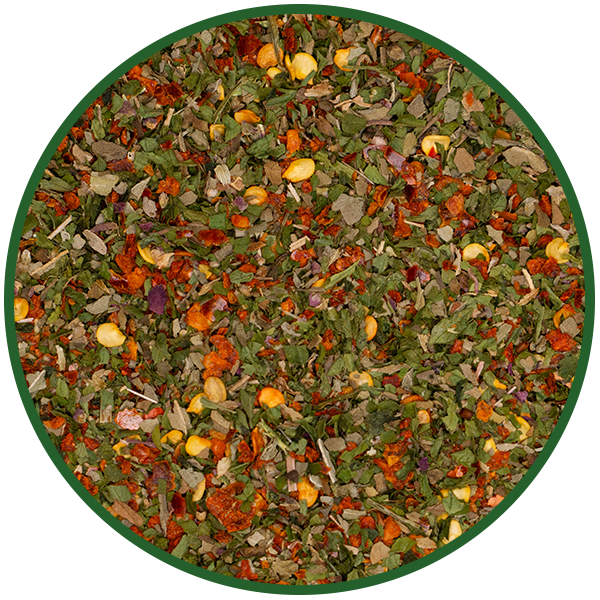 Penne all Arrabbiata