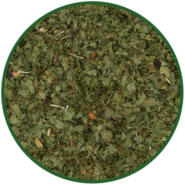 Liebstöckel (Maggikraut)