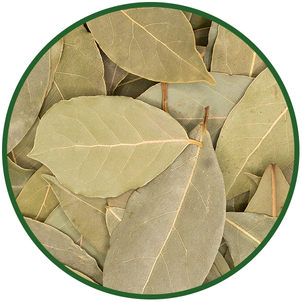 Lorbeerblätter ganz