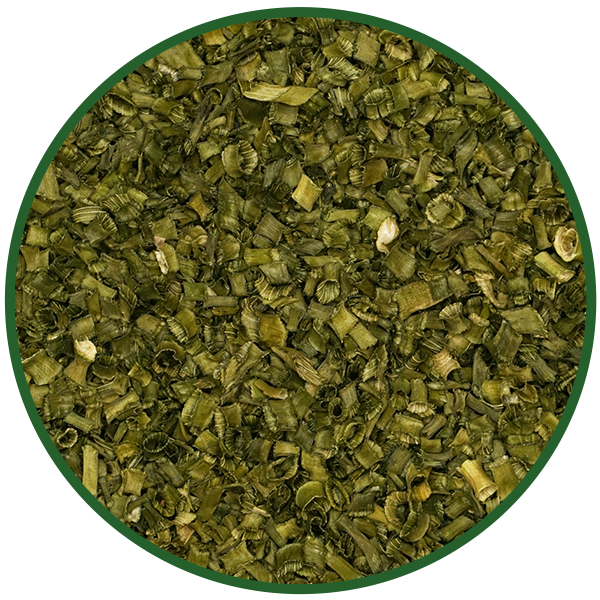 Schnittlauch 'Röhrenschnitt'