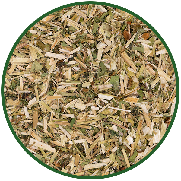 Buchweizenkraut geschnitten