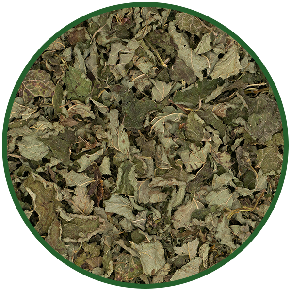 Melissenblätter Krüll ganz