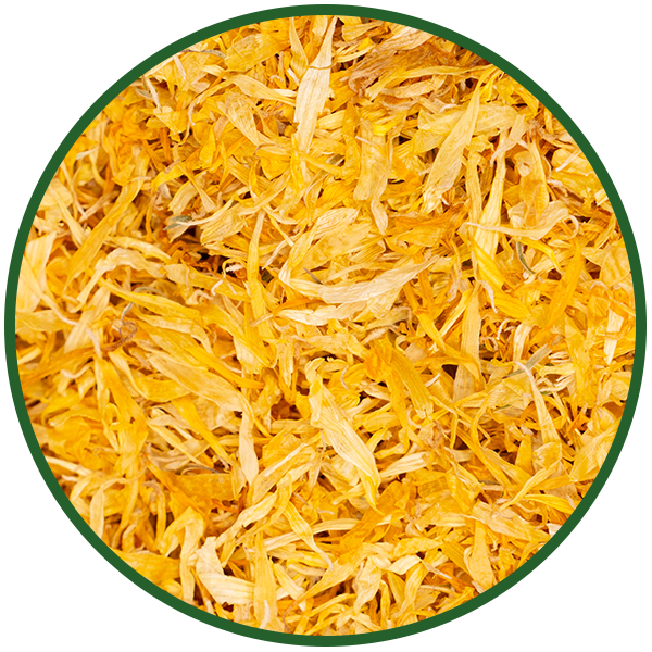 Ringelblumenblüten ohne Kelch