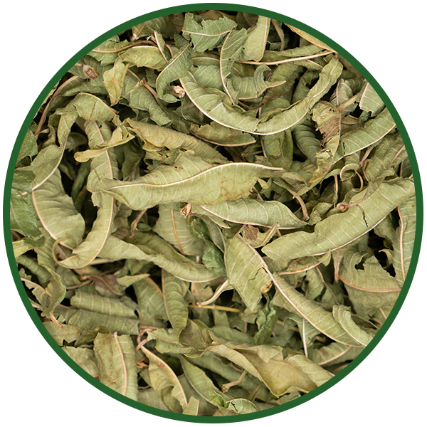 Zitronenverbenenblätter ganz