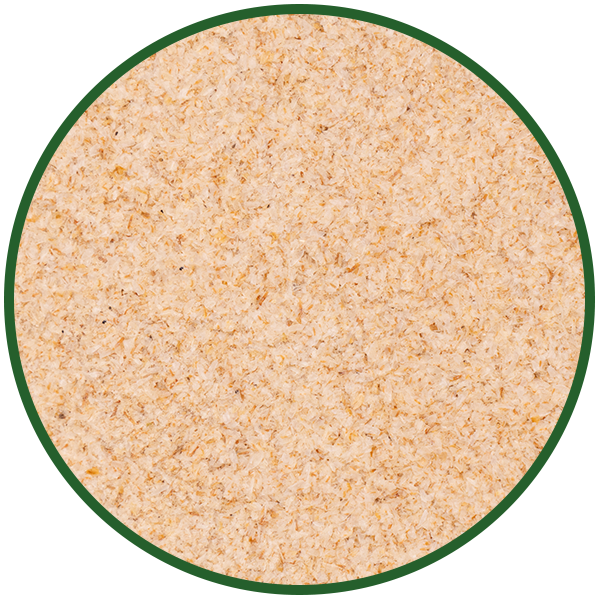 Flohsamenschalen ganz