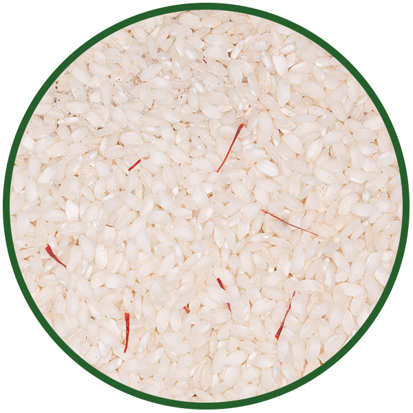 Safranrisotto / Risotto milanese