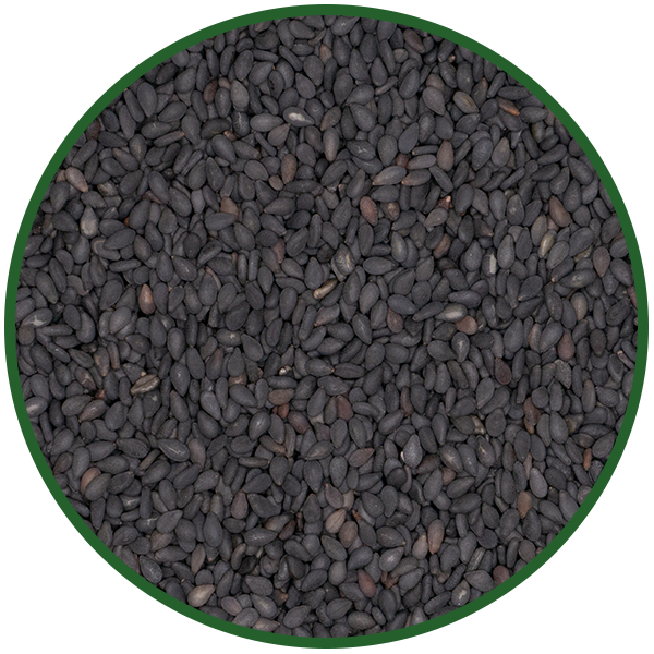 Sesam schwarz ungeschält