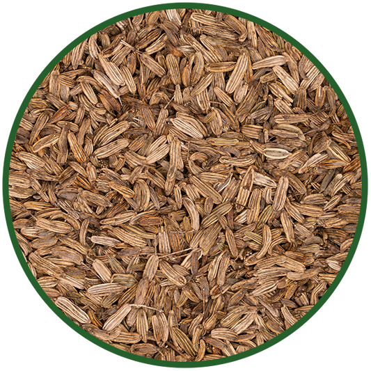 Fenchel ganz